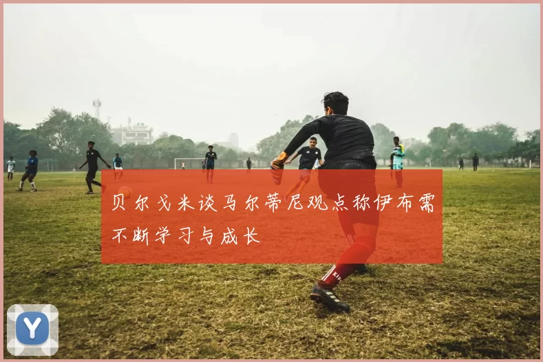 贝尔戈米谈马尔蒂尼观点称伊布需不断学习与成长