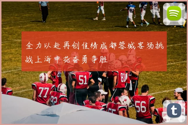 全力以赴再创佳绩成都蓉城客场挑战上海申花奋勇争胜