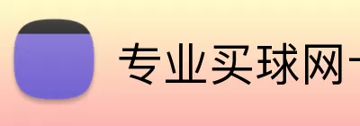 专业买球网十大体育网站 Logo